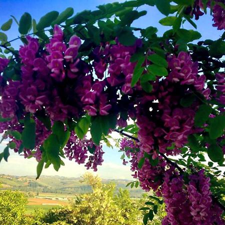 B&B Acacia Rosa Guarene Esterno foto